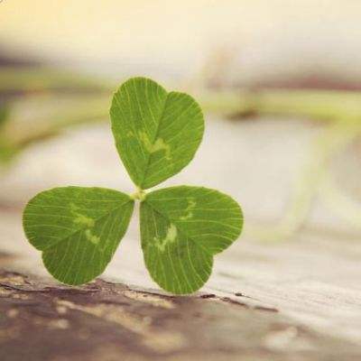 欧意交易平台下载